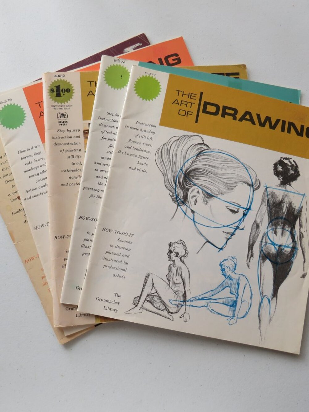 The Art of Drawing, Perspective Drawing, Watercolor Painting, Animals Drawings
